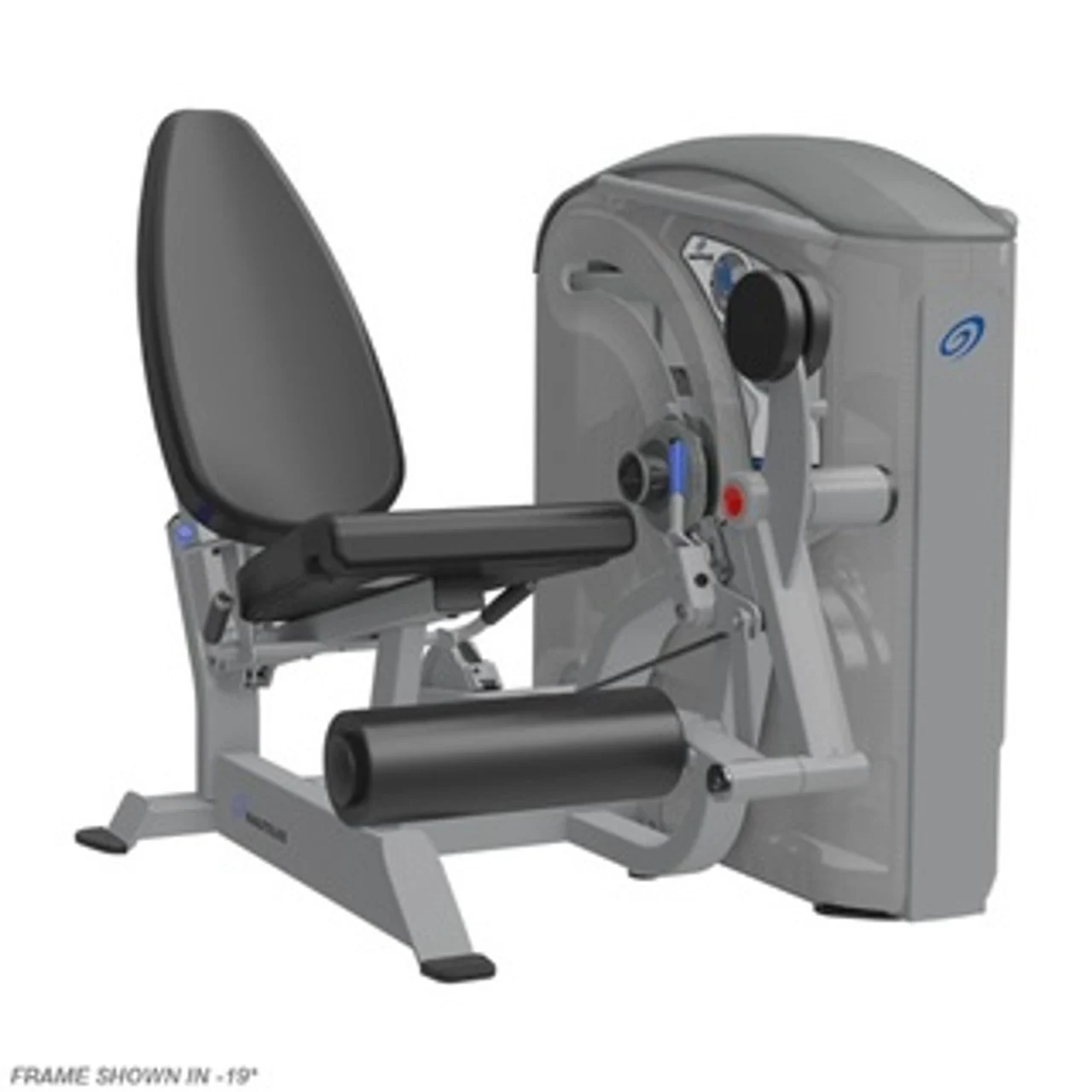Nautilus One Leg Extension